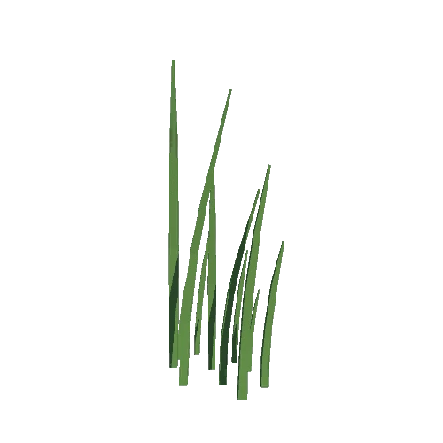 Grass 017